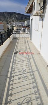 Apartment 60 sqm for rent
