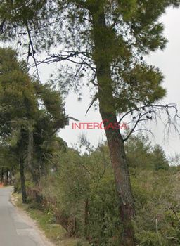 Οικόπεδο 664 τ.μ. προς πώληση