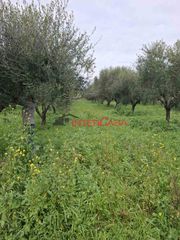 Οικόπεδο 1.557 τ.μ. για πώληση