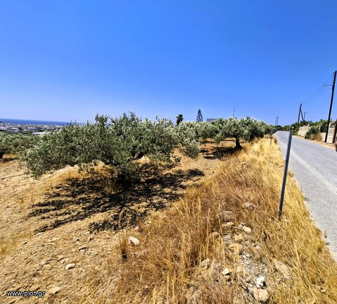 Αγροτεμάχια 2.236 τ.μ. για πώληση, Ν. Λασιθίου, Ιεράπετρα