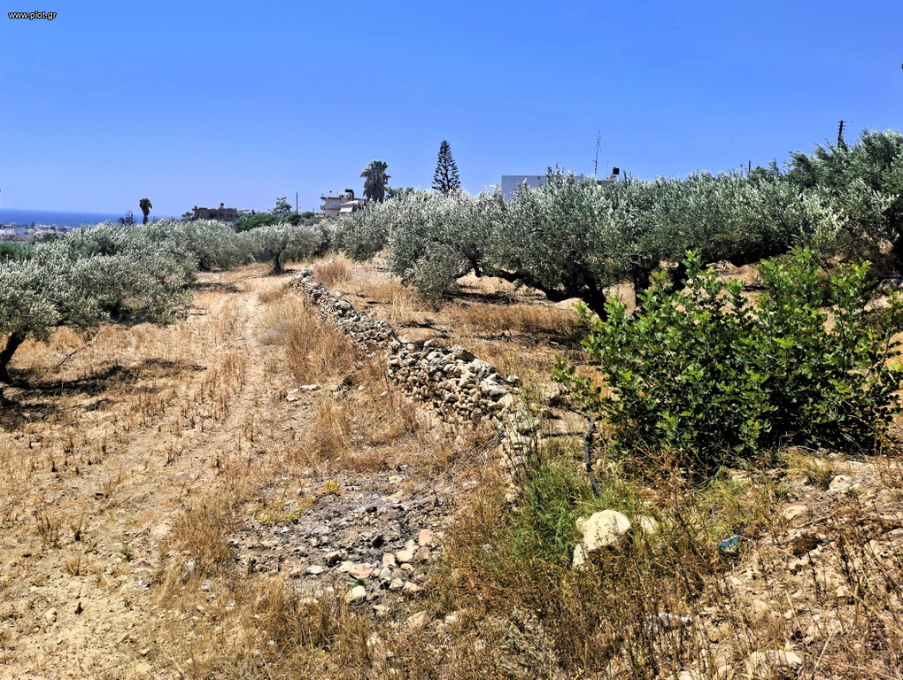 Αγροτεμάχια 2.236 τ.μ. πρός πώληση, Ν. Λασιθίου, Ιεράπετρα