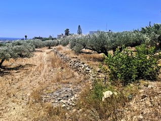 Αγροτεμάχια 2.236 τ.μ. για πώληση, Ν. Λασιθίου, Ιεράπετρα-thumb-1