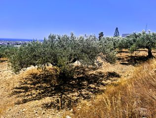 Αγροτεμάχια 2.236 τ.μ. για πώληση, Ν. Λασιθίου, Ιεράπετρα-thumb-5