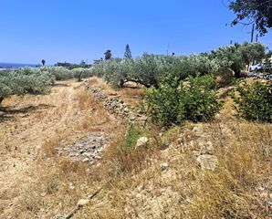 Αγροτεμάχια 2.236 τ.μ. για πώληση, Ν. Λασιθίου, Ιεράπετρα-thumb-6
