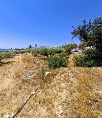 Αγροτεμάχια 2.236 τ.μ. για πώληση, Ν. Λασιθίου, Ιεράπετρα-thumb-8