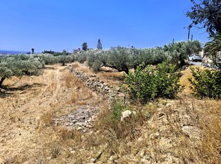 Αγροτεμάχια 2.236 τ.μ. για πώληση, Ν. Λασιθίου, Ιεράπετρα-thumb-9