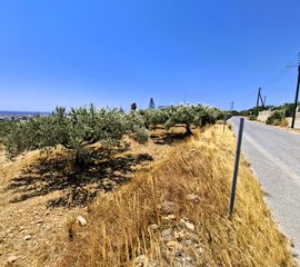 Αγροτεμάχια 2.236 τ.μ. για πώληση, Ν. Λασιθίου, Ιεράπετρα-thumb-11