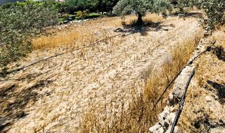 Αγροτεμάχια 2.236 τ.μ. για πώληση, Ν. Λασιθίου, Ιεράπετρα-thumb-12