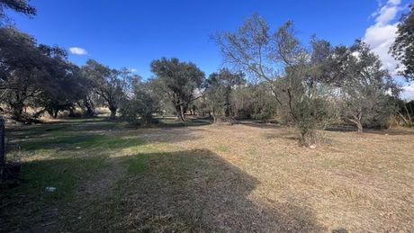Οικόπεδο 3.254,24 τ.μ. πρός πώληση