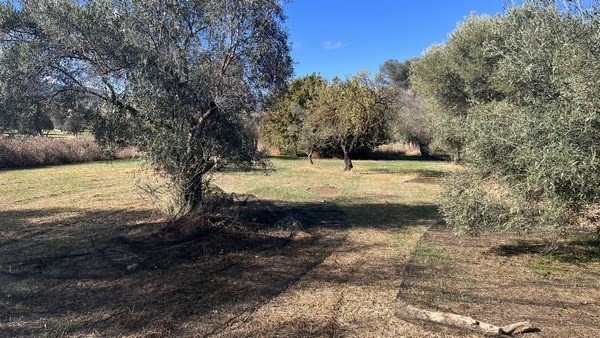 Οικόπεδο 3.254,24 τ.μ. πρός πώληση, Ν. Χίου, Χίος
