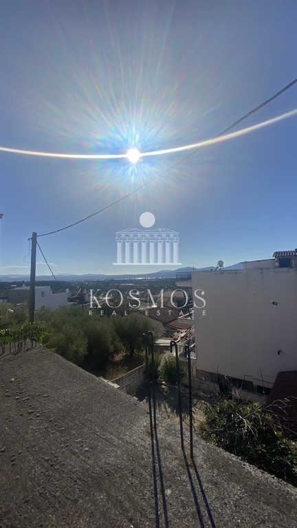 Οικόπεδο 250 τ.μ. προς πώληση, Φύλλα