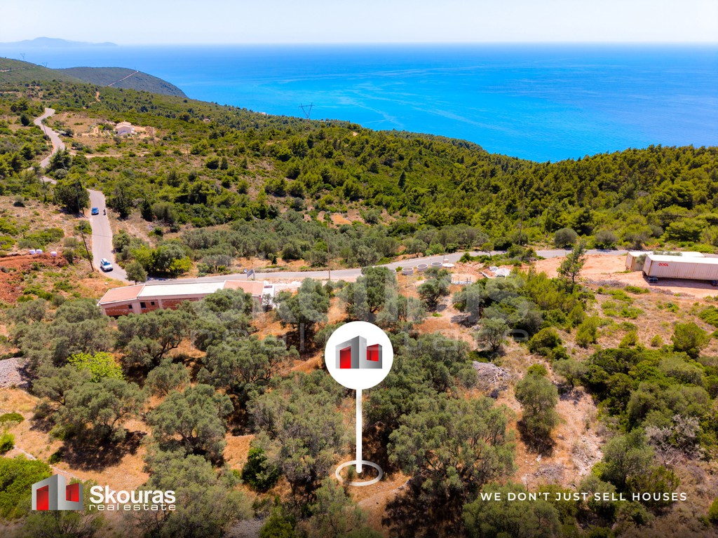 Αγροτεμάχια 6.488 τ.μ. προς πώληση, Απολλώνιο