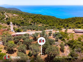 Αγροτεμάχια 6.488 τ.μ. προς πώληση, Απολλώνιο-thumb-1