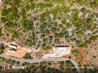 Αγροτεμάχια 6.488 τ.μ. προς πώληση, Απολλώνιο-thumb-10
