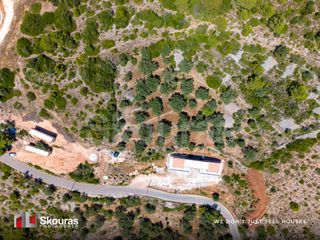 Αγροτεμάχια 6.488 τ.μ. προς πώληση, Απολλώνιο-thumb-11
