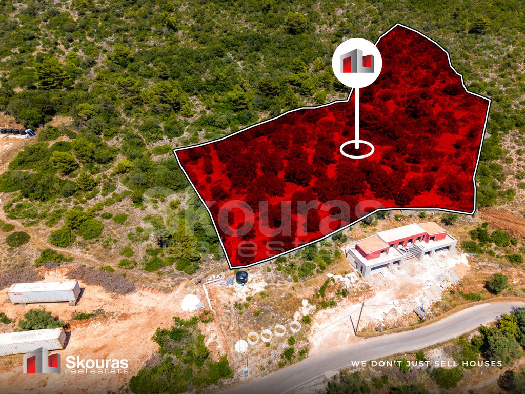 Αγροτεμάχια 6.488 τ.μ. προς πώληση, Απολλώνιο