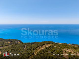 Αγροτεμάχια 6.488 τ.μ. προς πώληση, Απολλώνιο-thumb-4