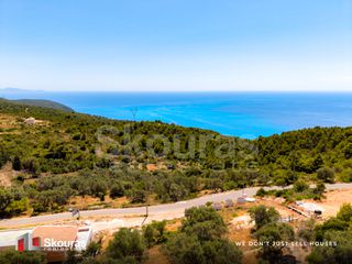 Αγροτεμάχια 6.488 τ.μ. προς πώληση, Απολλώνιο-thumb-5
