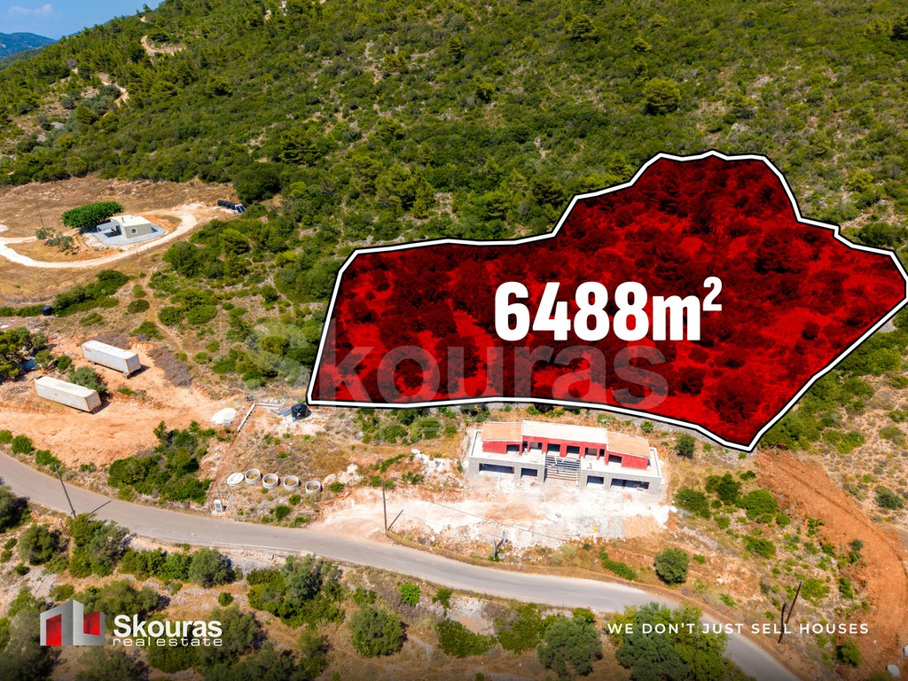 Αγροτεμάχια 6.488 τ.μ. προς πώληση, Απολλώνιο