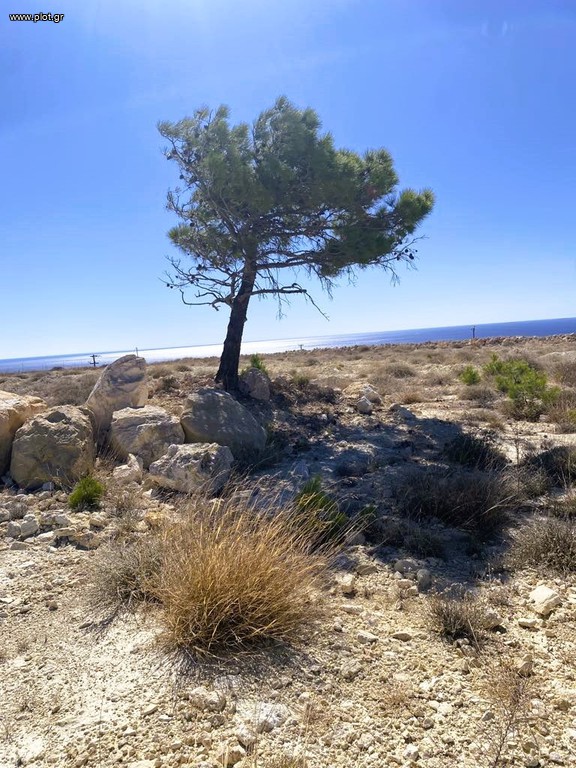 Αγροτεμάχια 25.563 τ.μ. πρός πώληση, Ν. Λασιθίου, Ιεράπετρα