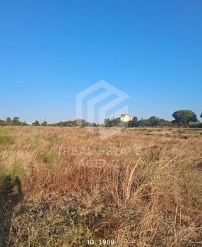 Αγροτεμάχια 7.078 τ.μ. προς πώληση