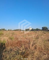 Αγροτεμάχια 7.078 τ.μ. για πώληση