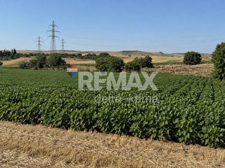 Αγροτεμάχια 13.000 τ.μ. για πώληση, Ν. Λάρισας, Λάρισα-thumb-3