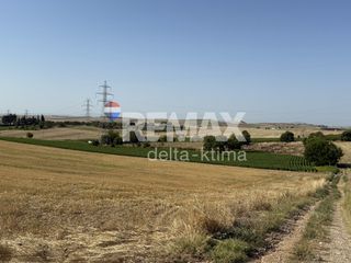 Αγροτεμάχια 13.000 τ.μ. για πώληση