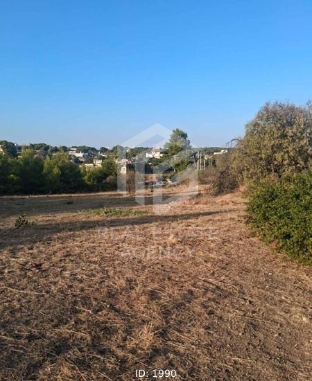 Οικόπεδο 4.000 τ.μ. προς πώληση, Αγία Κυριακή Σπάτων