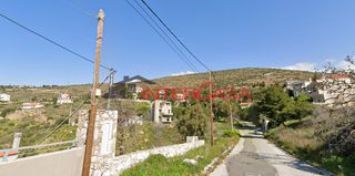 Οικόπεδο 1.000 τ.μ. για πώληση