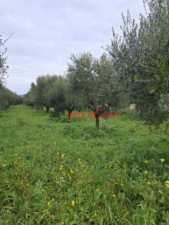 Οικόπεδο 5.800 τ.μ. προς πώληση, Μαύρο Λιθάρι