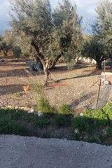 Οικόπεδο 898 τ.μ. για πώληση, Αχαΐα, Πάτρα-thumb-1