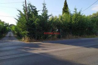 Οικόπεδο 1.000 τ.μ. για πώληση