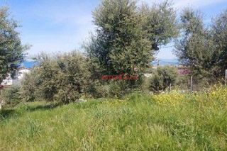 Οικόπεδο 578 τ.μ. προς πώληση, Κέντρο Βραχναιίκων-thumb-1
