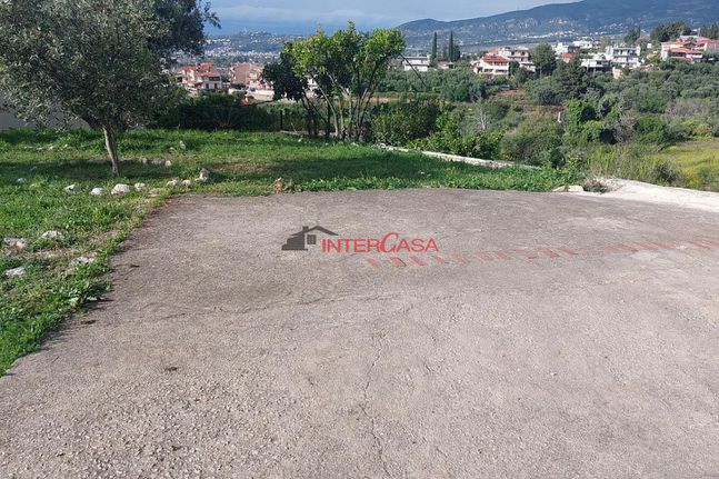 Οικόπεδο 1.000 τ.μ. για πώληση, Αχαΐα, Μεσσατίδα