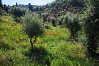 Parcel 1.600 sqm for sale