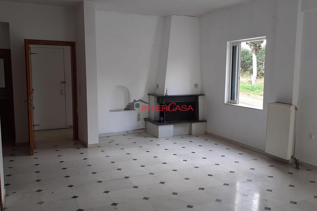 Μονοκατοικία 228,40 τ.μ. προς πώληση, Κέντρο Λαμίας
