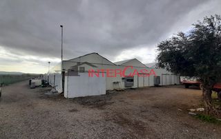 Business 2.500 sqm for sale