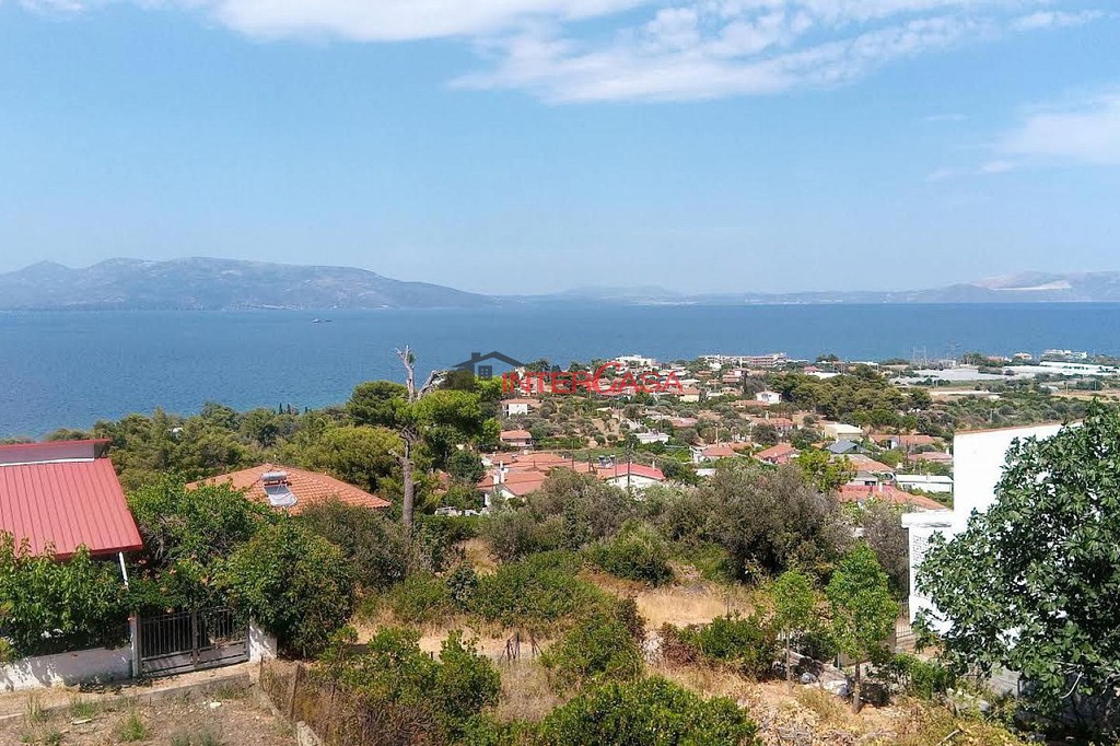 Οικόπεδο 1.197,40 τ.μ. πρός πώληση, Αττική - Υπόλοιπο, Κάλαμος