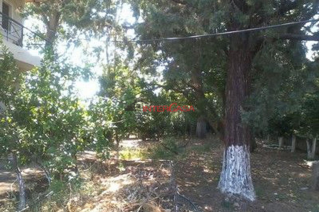 Μονοκατοικία 135 τ.μ. πρός πώληση, Φθιώτιδας, Αταλάντη
