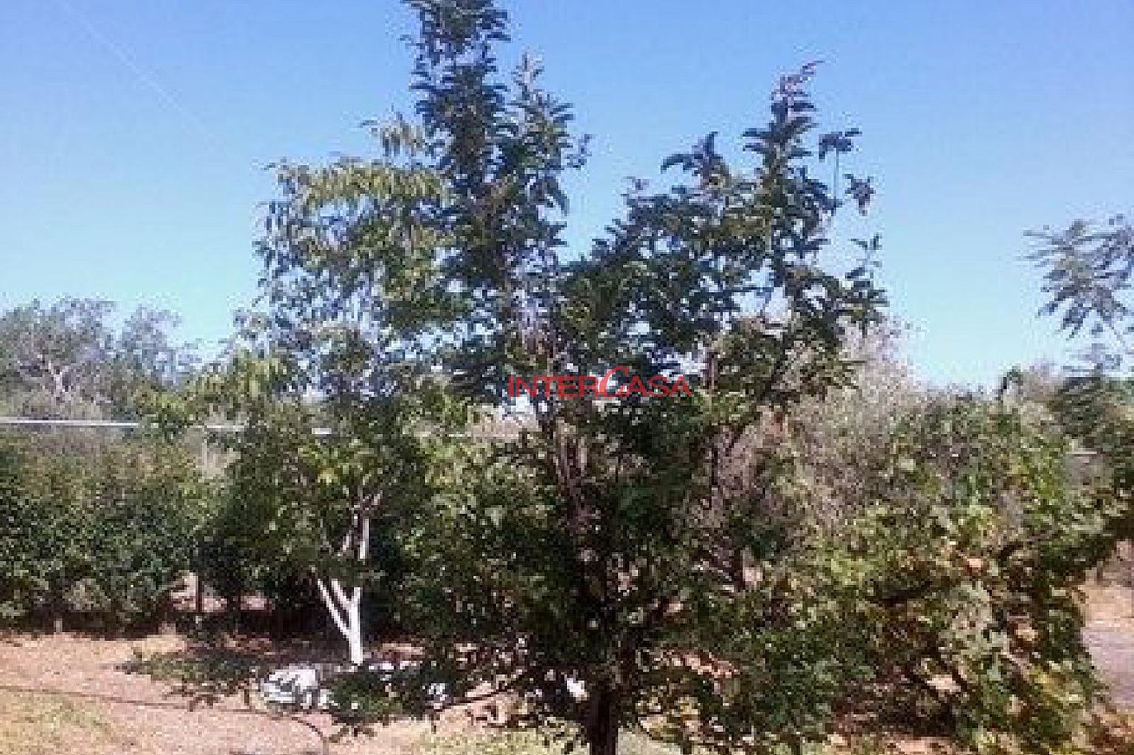 Μονοκατοικία 135 τ.μ. πρός πώληση, Φθιώτιδας, Αταλάντη