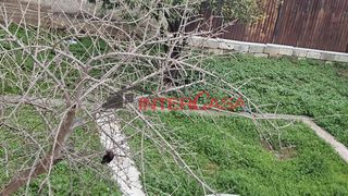Land plot 240 sqm for sale