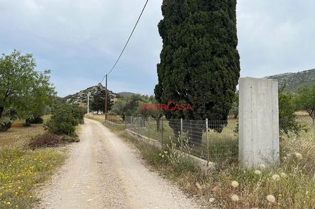 Land plot 5.610 sqm for sale