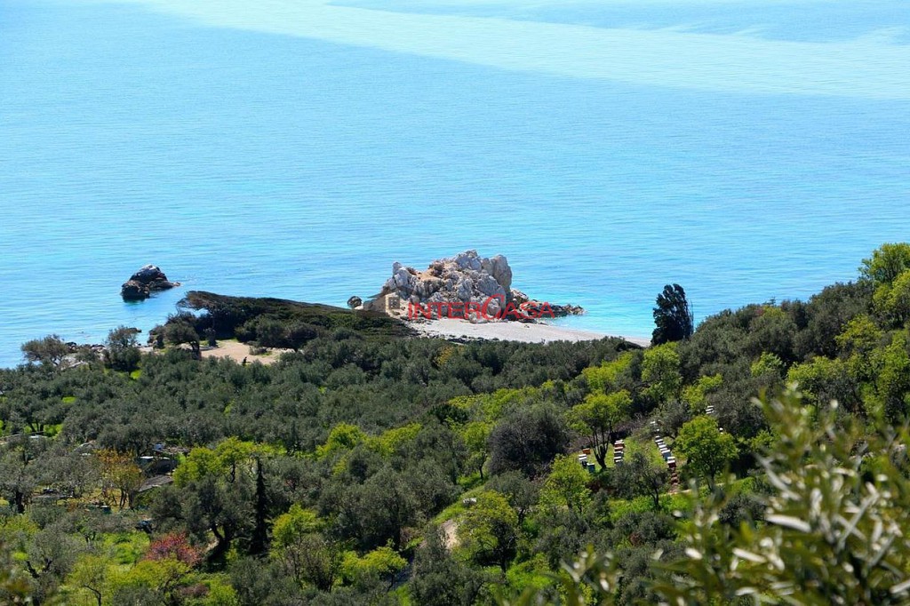 Οικόπεδο 5.120 τ.μ. προς πώληση, Χώρα Σκοπέλου