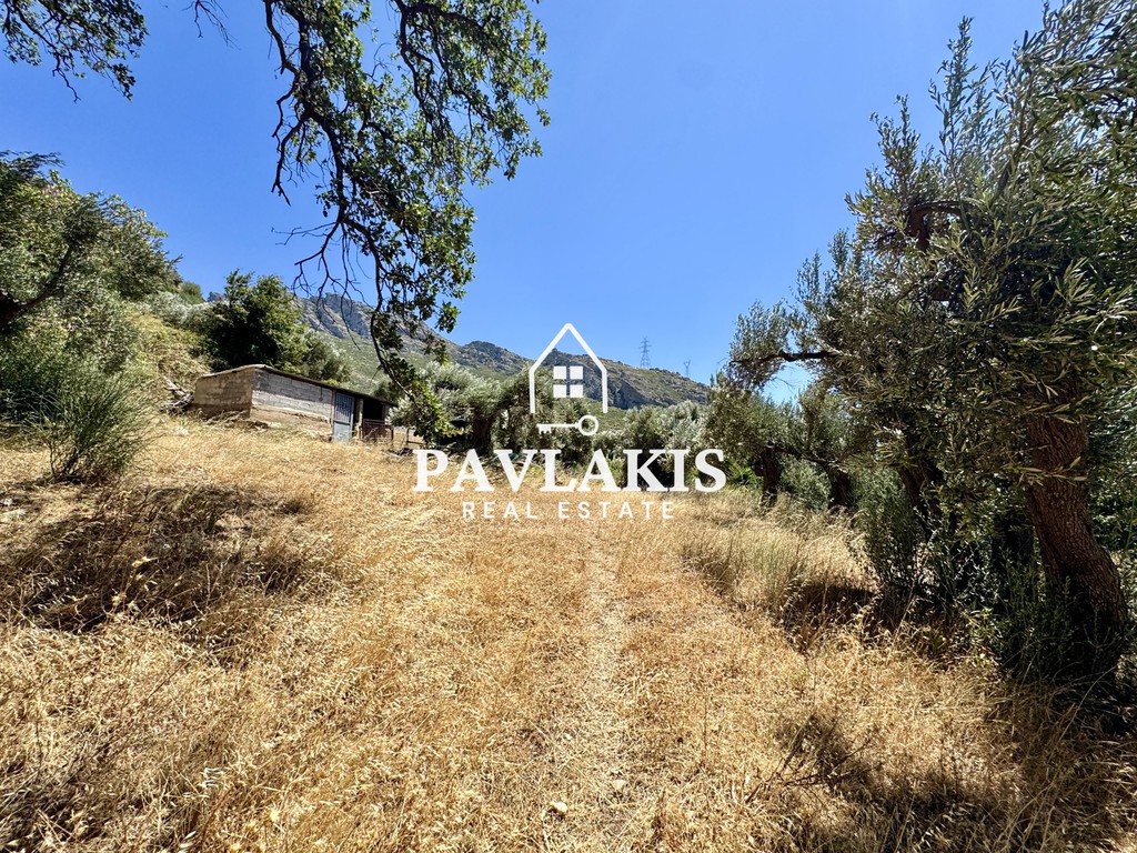 Οικόπεδο 3.455 τ.μ. πρός πώληση, Εύβοια, Κάρυστος