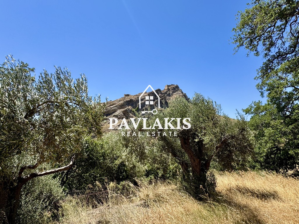 Οικόπεδο 3.455 τ.μ. πρός πώληση, Εύβοια, Κάρυστος