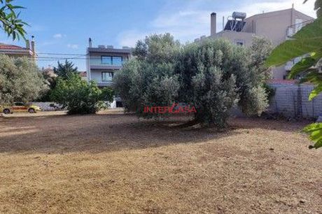 Οικόπεδο 736 τ.μ. προς πώληση