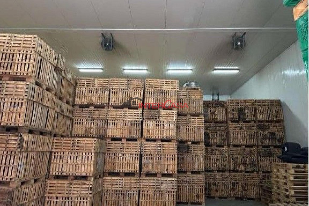 Βιομηχανικός χώρος 5.000 τ.μ. πρός πώληση, Βοιωτία, Θήβα