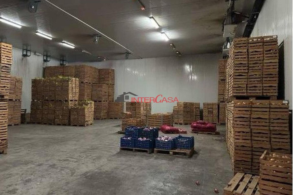 Βιομηχανικός χώρος 5.000 τ.μ. πρός πώληση, Βοιωτία, Θήβα