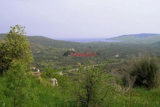 Οικόπεδο 181 τ.μ. για πώληση
